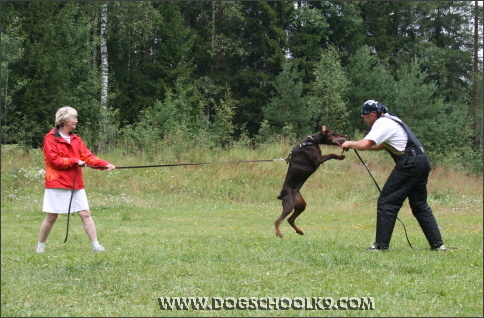 Summer training camp in Finland 2007